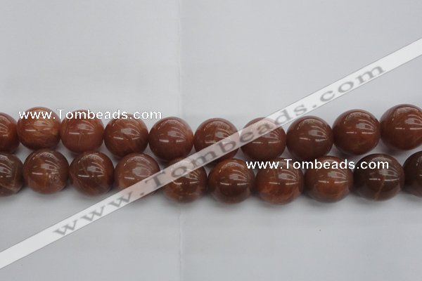 CMS1007 15.5 inches 18mm round AA grade moonstone gemstone beads