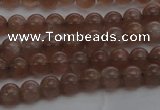 CMS1020 15.5 inches 4mm round AA grade moonstone gemstone beads