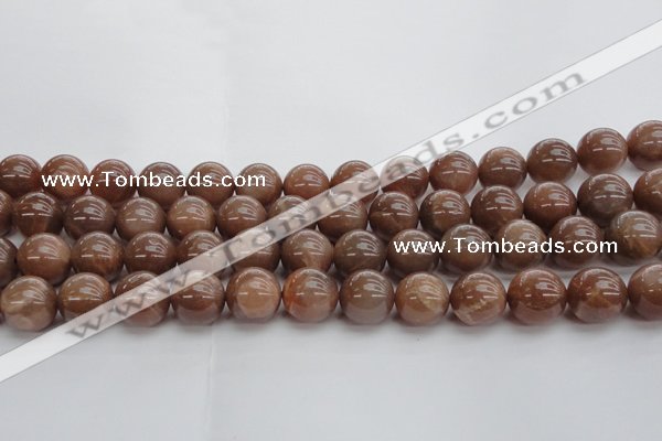 CMS1025 15.5 inches 14mm round AA grade moonstone gemstone beads