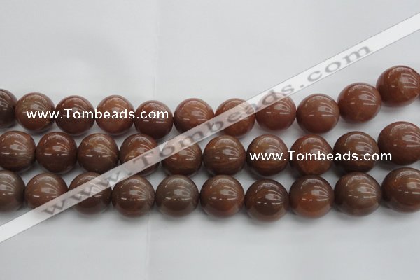 CMS1026 15.5 inches 16mm round AA grade moonstone gemstone beads