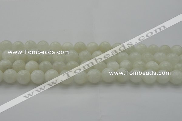 CMS1032 15.5 inches 8mm round A grade white moonstone beads