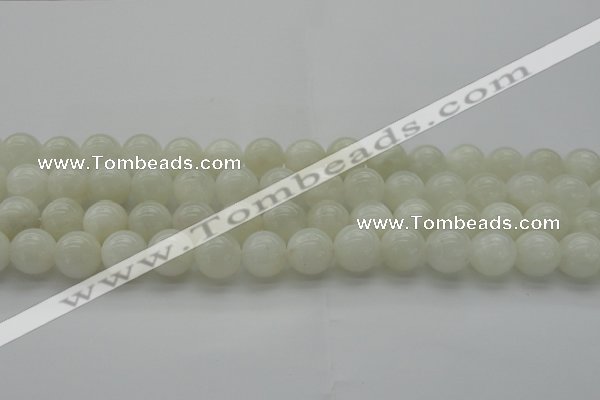 CMS1033 15.5 inches 10mm round A grade white moonstone beads