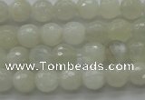 CMS1041 15.5 inches 6mm faceted round A grade white moonstone beads