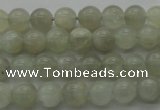 CMS1051 15.5 inches 6mm round grey moonstone beads wholesale