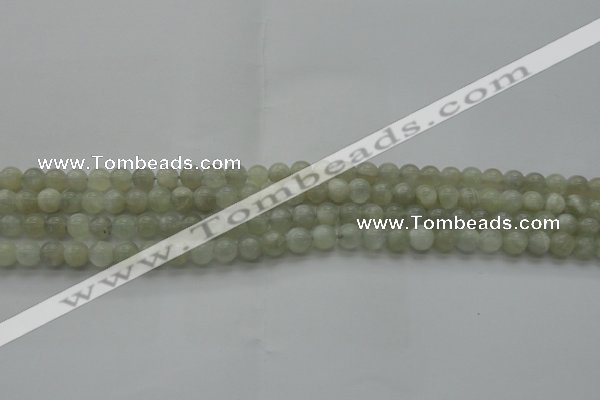 CMS1051 15.5 inches 6mm round grey moonstone beads wholesale