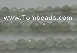 CMS1054 15.5 inches 4mm faceted round grey moonstone beads wholesale