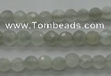 CMS1054 15.5 inches 4mm faceted round grey moonstone beads wholesale