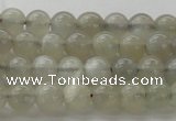 CMS1057 15.5 inches 6mm round grey moonstone beads wholesale