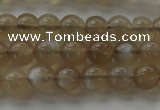 CMS1064 15.5 inches 6mm round grey moonstone beads wholesale