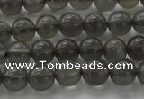 CMS1071 15.5 inches 6mm round grey moonstone beads wholesale