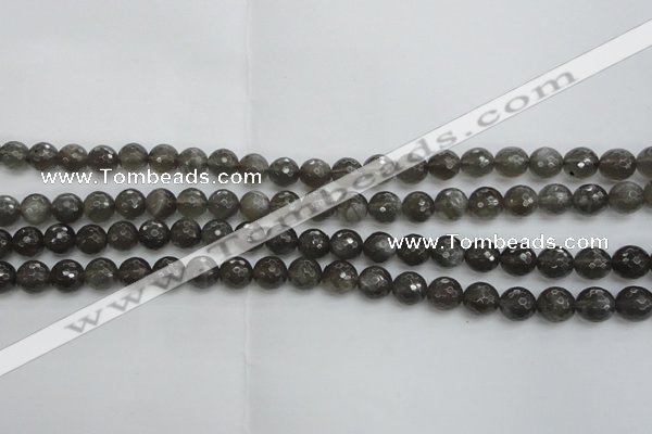 CMS1075 15.5 inches 6mm faceted round grey moonstone beads wholesale