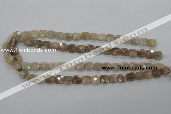 CMS108 15.5 inches 10*10mm faceted square moonstone gemstone beads