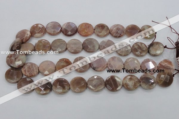 CMS113 15.5 inches 20mm faceted coin moonstone gemstone beads