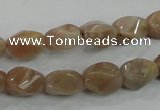 CMS118 15.5 inches 8*12mm twisted rice moonstone gemstone beads