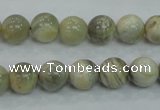 CMS121 15.5 inches 10mm round moonstone gemstone beads wholesale