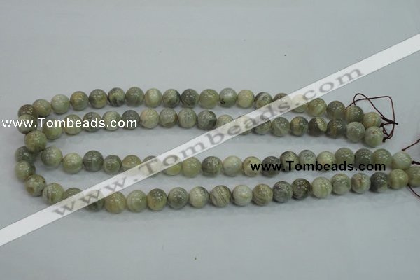 CMS121 15.5 inches 10mm round moonstone gemstone beads wholesale