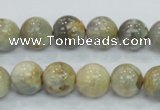 CMS122 15.5 inches 12mm round moonstone gemstone beads wholesale