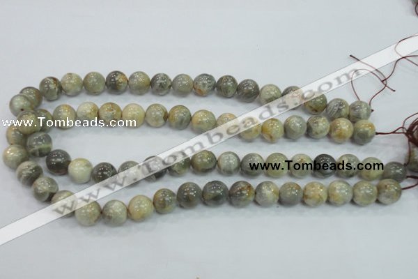 CMS122 15.5 inches 12mm round moonstone gemstone beads wholesale