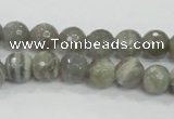 CMS124 15.5 inches 10mm faceted round moonstone gemstone beads