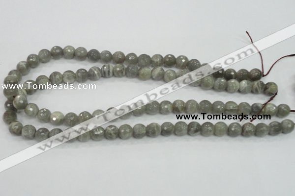 CMS124 15.5 inches 10mm faceted round moonstone gemstone beads