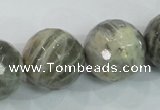 CMS127 15.5 inches 20mm faceted round moonstone gemstone beads