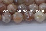 CMS1302 15.5 inches 8mm faceted round AB-color moonstone beads