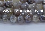 CMS1310 15.5 inches 4mm faceted round AB-color grey moonstone beads