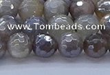 CMS1312 15.5 inches 8mm faceted round AB-color grey moonstone beads