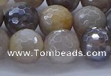 CMS1314 15.5 inches 12mm faceted round AB-color grey moonstone beads