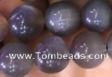 CMS1422 15.5 inches 8mm round black moonstone beads wholesale