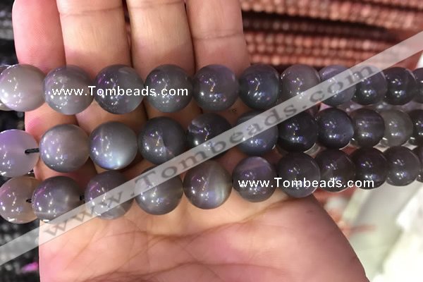 CMS1424 15.5 inches 12mm round black moonstone beads wholesale