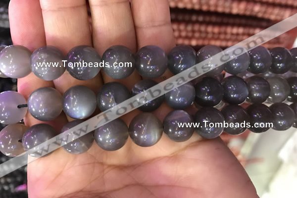 CMS1425 15.5 inches 14mm round black moonstone beads wholesale