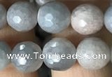 CMS1457 15.5 inches 8mm faceted round AB-color moonstone beads