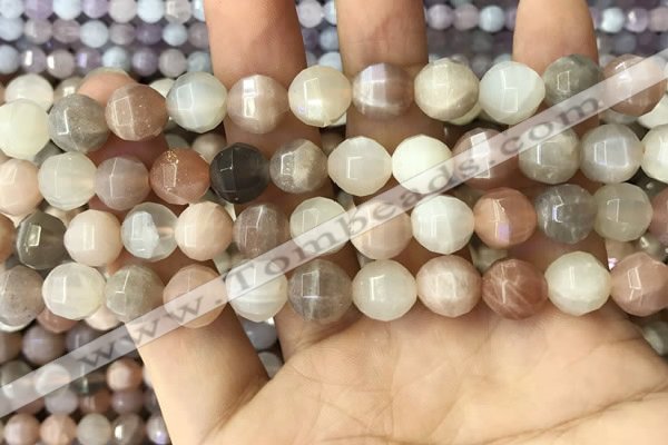 CMS1472 15.5 inches 10mm faceted round moonstone beads wholesale