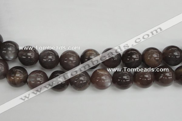 CMS149 15.5 inches 16mm round natural grey moonstone beads