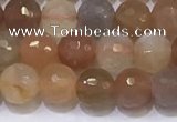 CMS1496 15.5 inches 6mmm faceted round rainbow moonstone beads