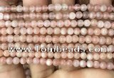 CMS1670 15.5 inches 4mm round moonstone beads wholesale