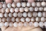 CMS1673 15.5 inches 10mm round moonstone beads wholesale