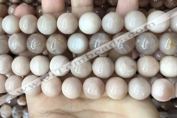 CMS1675 15.5 inches 14mm round moonstone beads wholesale