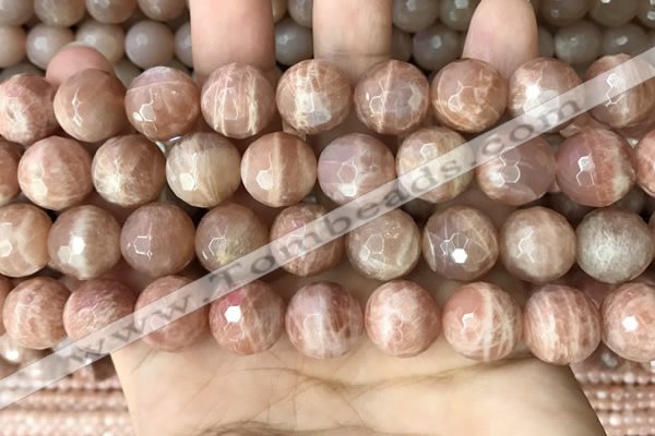 CMS1682 15.5 inches 14mm faceted round moonstone beads wholesale