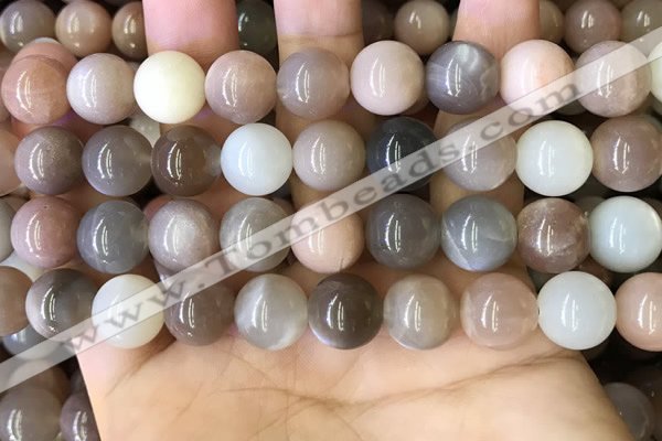 CMS1688 15.5 inches 12mm round rainbow moonstone beads wholesale