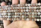 CMS1691 15.5 inches 4mm faceted round rainbow moonstone beads