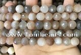 CMS1694 15.5 inches 10mm faceted round rainbow moonstone beads