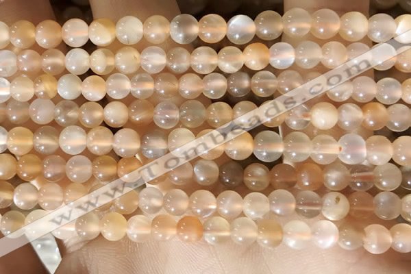 CMS1711 15.5 inches 5mm round rainbow moonstone beads wholesale