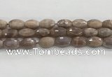 CMS1777 15.5 inches 11*18mm faceted rice AB-color moonstone beads