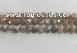 CMS1788 15.5 inches 8mm faceted coin AB-color moonstone beads