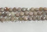 CMS1789 15.5 inches 10mm faceted coin AB-color moonstone beads