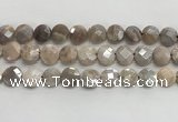 CMS1790 15.5 inches 12mm faceted coin AB-color moonstone beads