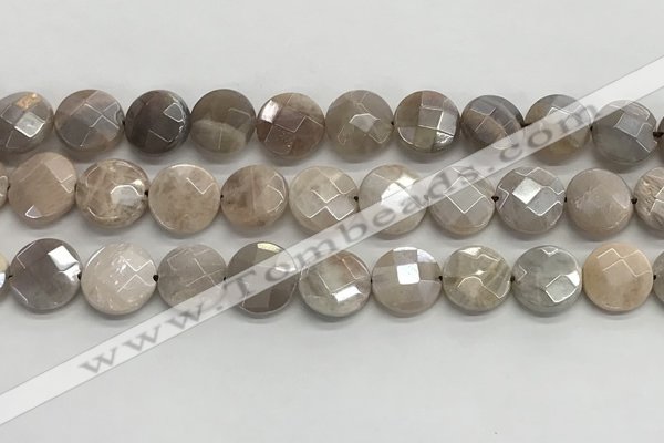 CMS1790 15.5 inches 12mm faceted coin AB-color moonstone beads