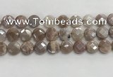 CMS1791 15.5 inches 14mm faceted coin AB-color moonstone beads